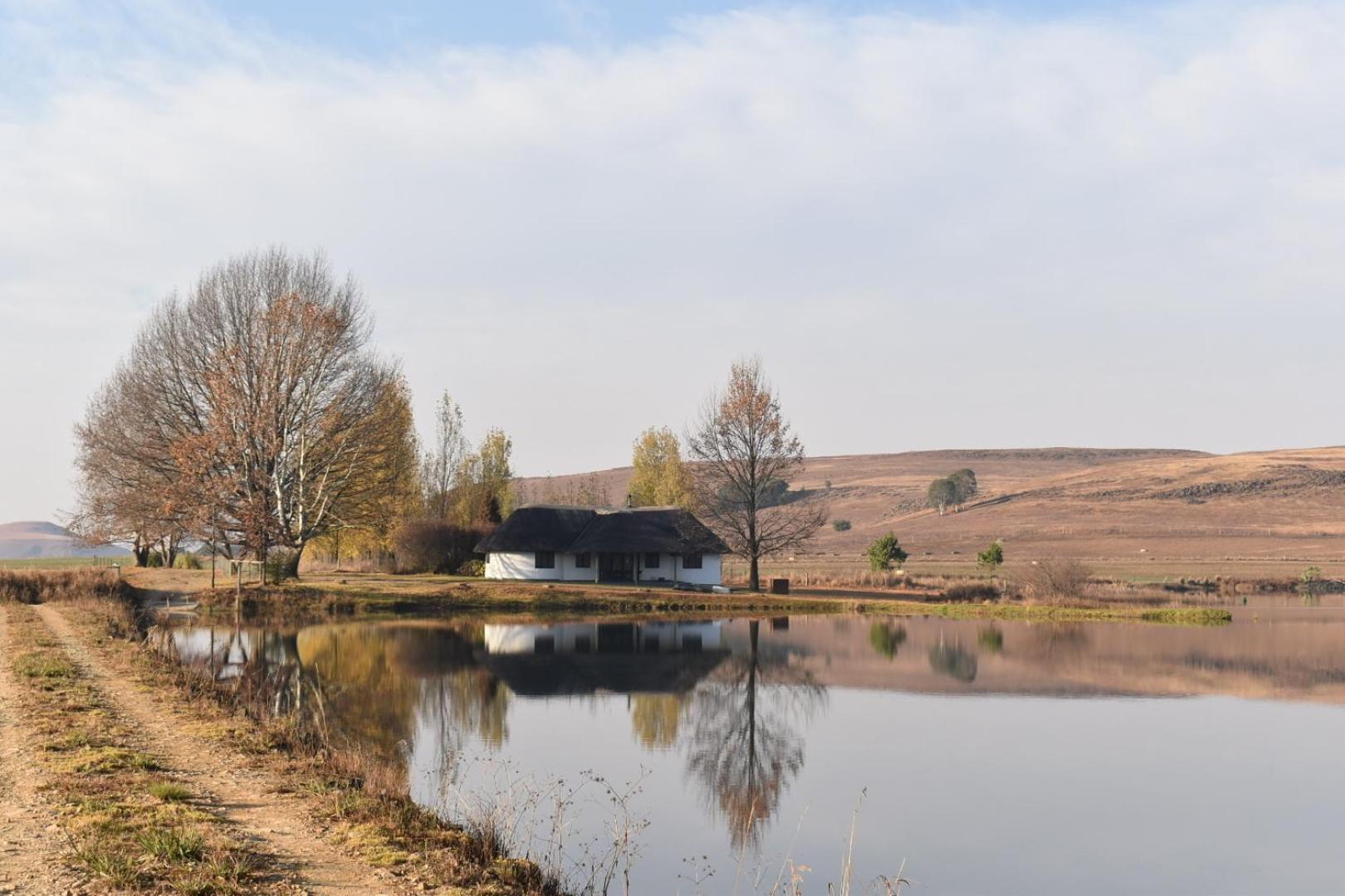 Dieu Donne Cottage 언더버그 외부 사진